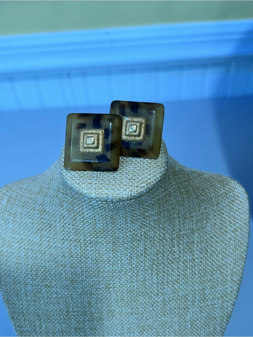 Tortoiseshell Square Stud Earrings with Gold Accent